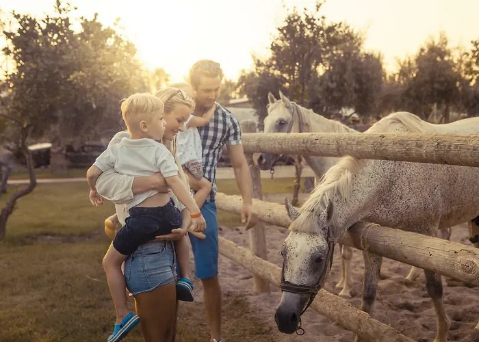 Club Turan World Select Sidé